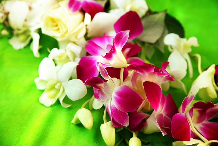 Flowers at Smith's Family Luau