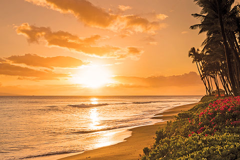 Maui beach at sunset